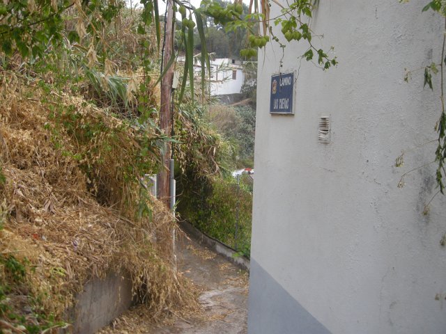 Gran Canaria 275